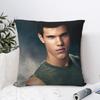 The Twilight Saga Pillowcase Printing Fabric Cushion Cover Decor Jacob Black Throw Pillow Case Cover Home Drop Shipping Cm