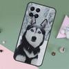 Animal Wolf Dog Husky For Samsung Galaxy M23 M12 M13 M14 M15 M35 M55 M34 M54 M33 M53 M31 M11 M32 M52 M06 M16 Case