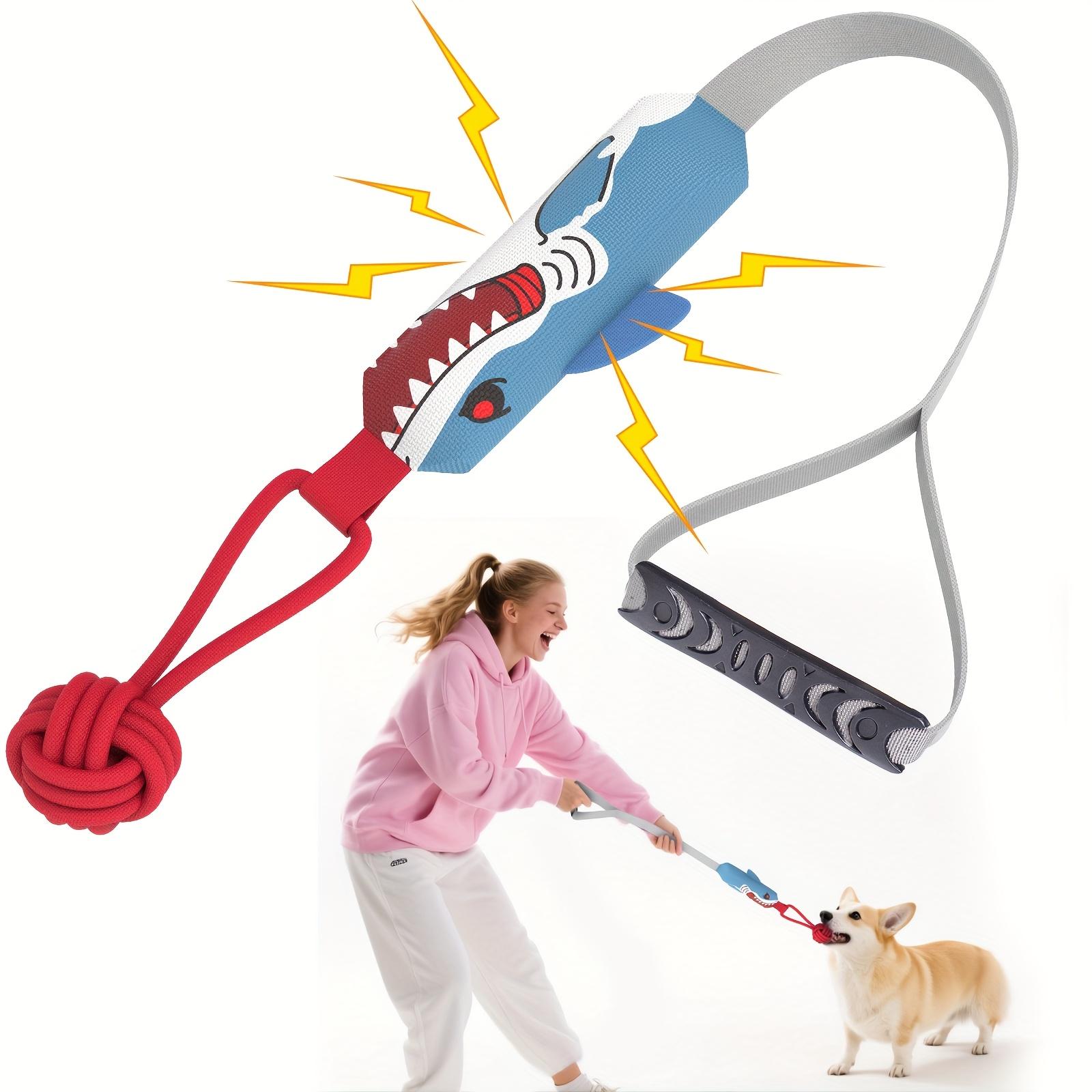 

Bite-resistant firm cactus design green and black striped dog pull rope toy - large dog interactive tug-of-war ball, anti-bite material синий