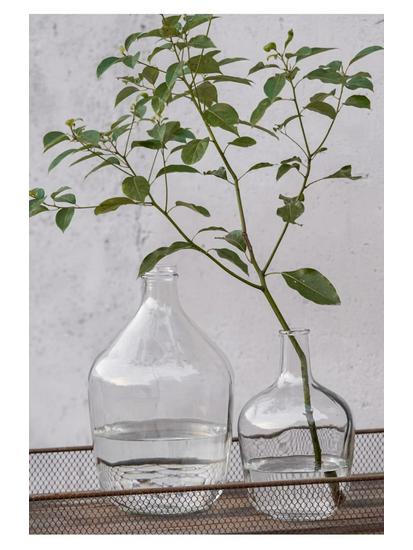 Large Transparent Japanese Andromeda Glass Vase - Thin-Neck, Big-Belly Design for Living Room Decor
