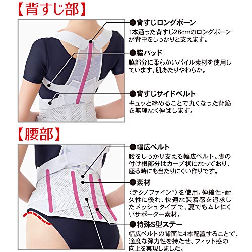 Alphax Doctor's Posture Corrector Belt for Waist and Back Support, LL-3L, Made in Japan