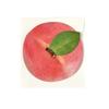 3D Fruit Shaped Greeting Card Foldable Festival Greeting Card Birthday Gift Postcards  Festival