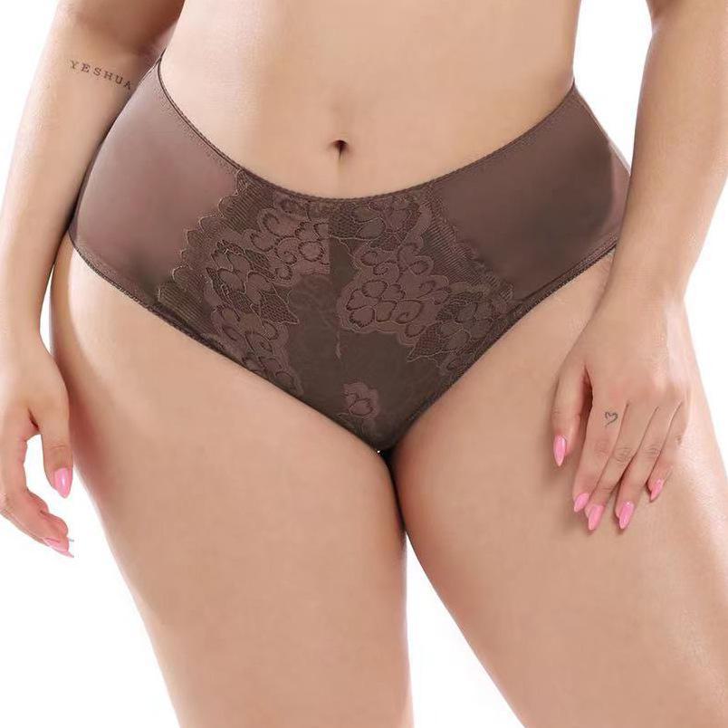 European & American Style Plus Size Women's Sexy Lace High-Waist Briefs L-5XL
