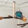 Multifunctional Parrots Stand Rotating Scratchers Toy for Conure Budgies