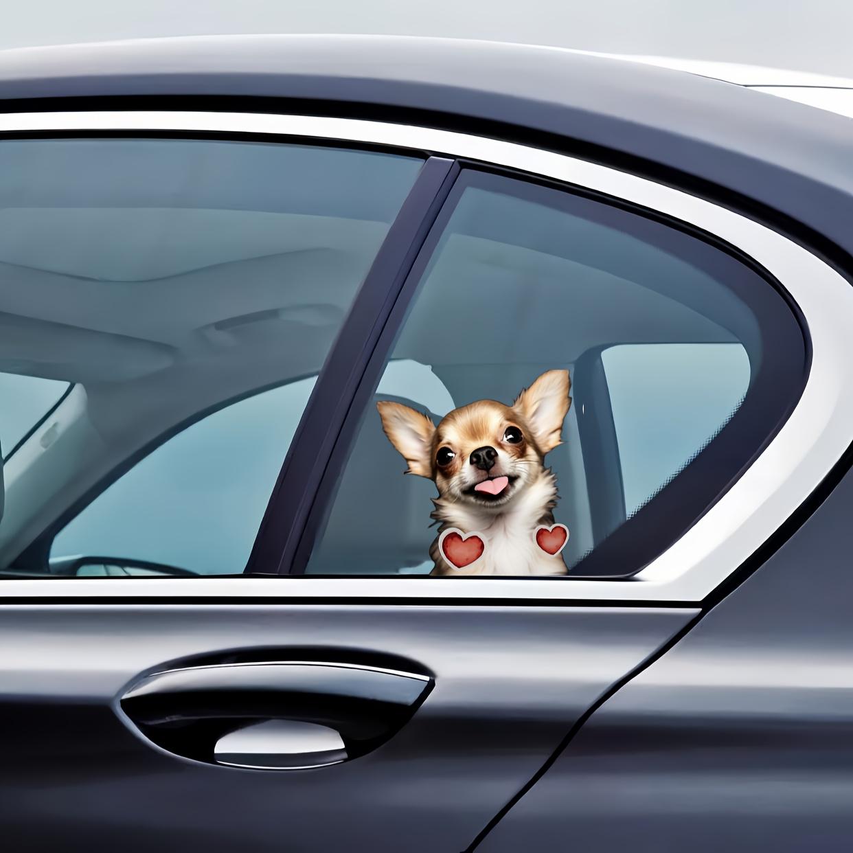 

Наклейки на автомобиль «Я люблю свою милую собаку чихуахуа» для ноутбука, бутылки с водой, телефона, грузовика, фургона, внедорожника, мотоцикла, автомобиля, краска для окна 1pc