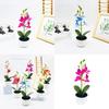 Simulated Phalaenopsis Potted Artificial Artificial Flower For Indoor Outdoor Decoration And Photography Use