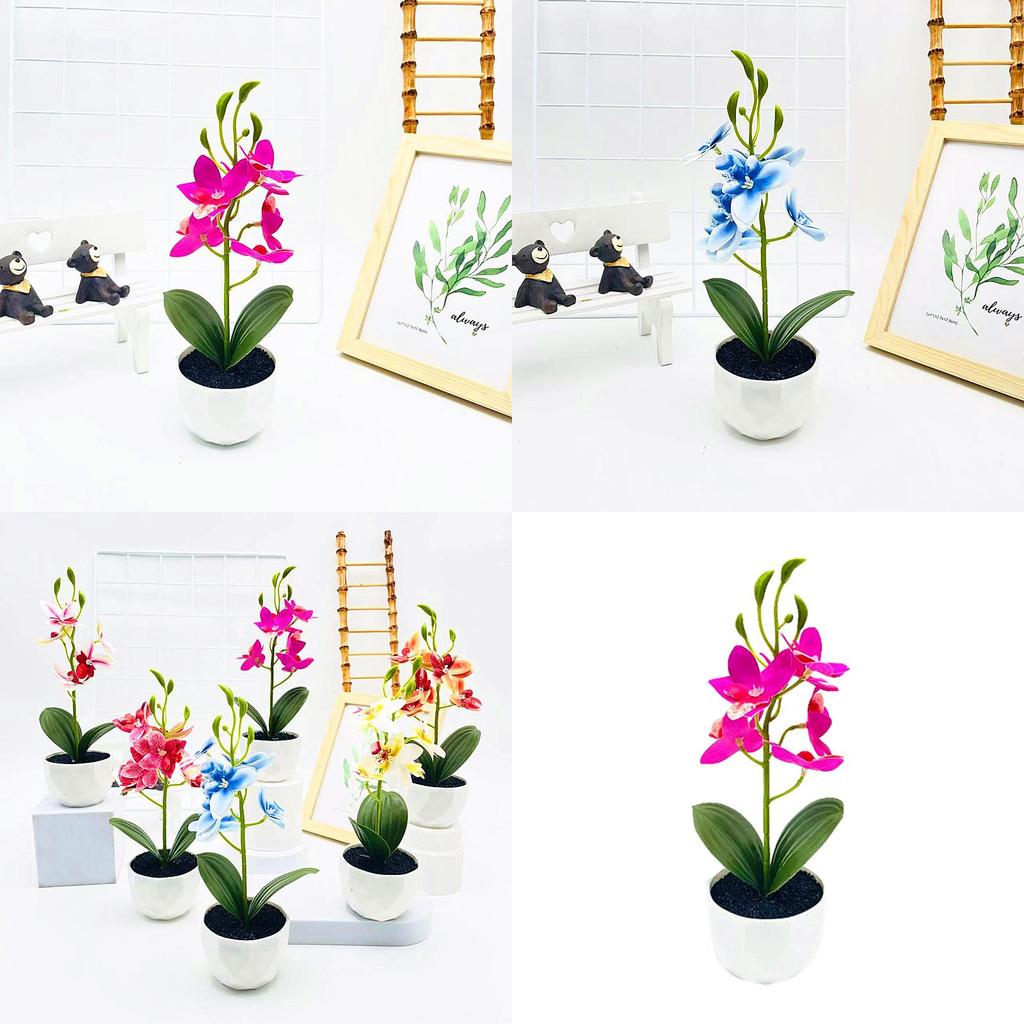 Simulated Phalaenopsis Potted Artificial Artificial Flower For Indoor Outdoor Decoration And Photography Use