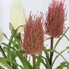 Artificial Plants Silk Fake Flowers Auditorium Decor Red Black Stupa Flower Branches Simulation Green Plant Balcony Decoration