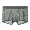 See Through Men Underwear Sexy Convex Boxers Transparent Soft Briefs