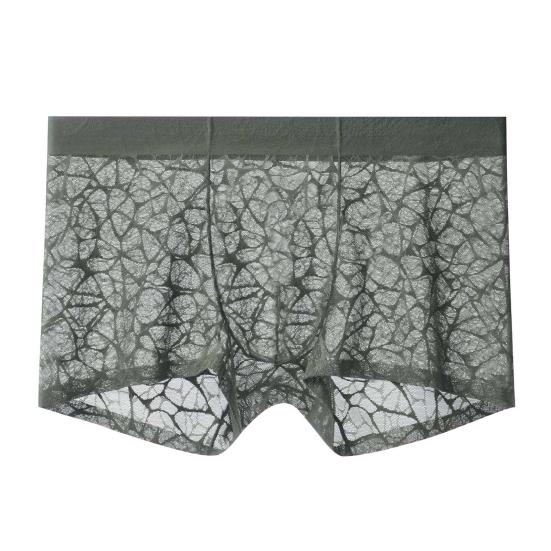 See Through Men Underwear Sexy Convex Boxers Transparent Soft Briefs