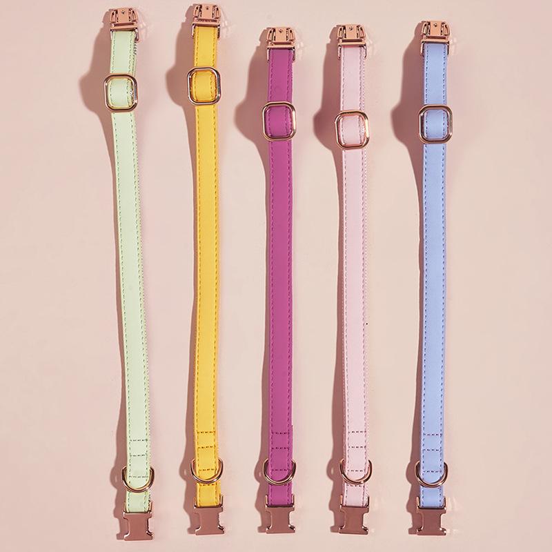 Dog Collar Candy Color Retro Cat Collar Small and Medium Dog Pet Dog Collar
