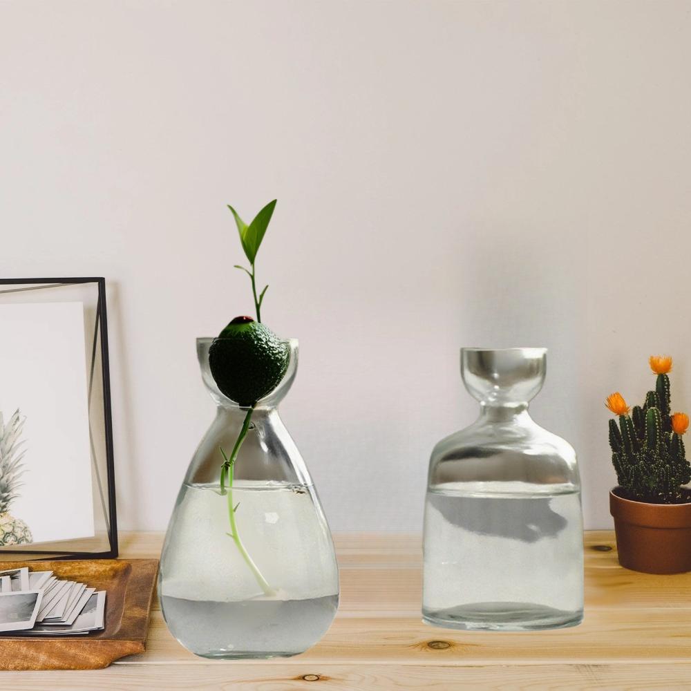 Kreativní váza Skleněná hydroponická váza na semena Skleněná váza Váza na avokádo Domácí dekorace na stůl Hydroponická ozdoba Milovníci zahradničení