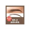 Maybelline Fashion Brow Powder-in-Pencil N BR-2 Natural Brown Eyebrow Pencil with Triangular Tip and Brush, Waterproof