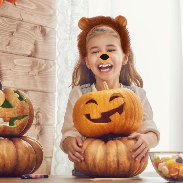 Lion Costume Animal Dress Up Costume Halloween Lion Dress Up Costume, Lion Hairband, Tail, Bowtie
