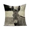 Throw Pillows Cases Watercolor Donkey Cute Animal Face Cushion Cover 45x45cm Home Living Room Decoration Linen Pillowcover Decor