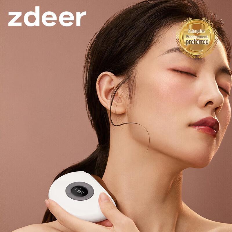 ZuoDian Smart Electric Bian Stone Massager