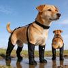 Adjustable Dog Rain Boots with Non-Slip Paw Protection Safety Buckles Breathable Suitable for Use Hook-and-Loop Closure