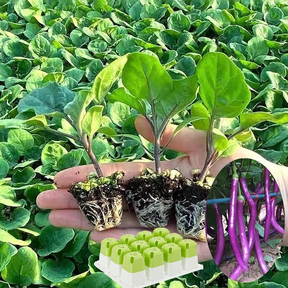 11 Holes Garden Nursery Seedling Dish Plastic Nursery Seedling Trays Seed Starter Trays Vegetable Seedling Pots Garden Supplies