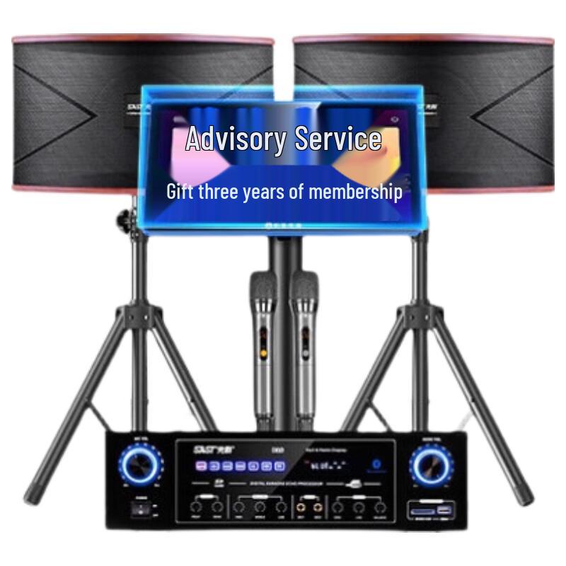 

SAST K12 High-Fidelity Karaoke Speaker Set (CN version)