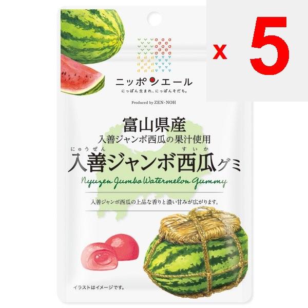JA Nippon Ale Toyama Irizen Jumbo Watermelon Gummies 40gNippon Ale Brand with the Catchphrase Nippo Nippon Ale Brand with the Catchphrase Nippon-born,