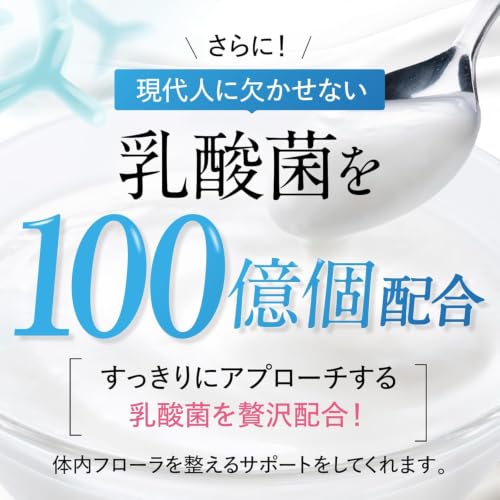 [Doctor Supervised] 150% of Your Daily Iron Requirement. High Concentration: 10.2mg Iron, 240 G Folic Acid. Chewable Tablets. Shin Nippon Health