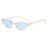 2026 European & American Fashion Cat Eye Sunglasses - Women's Trendy Internet Celebrity Style