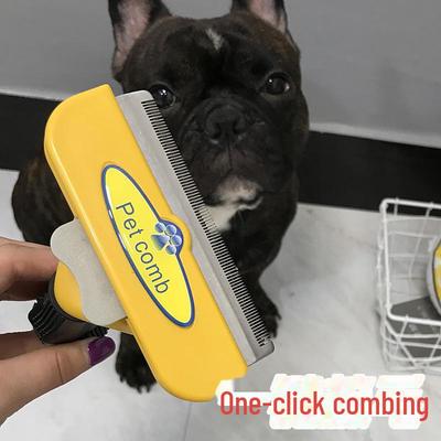 Top-Selling Pet Hair Removal Comb for Dogs and Cats