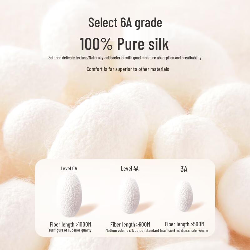 Women's High-Waist 100% Mulberry Silk Antibacterial Seamless Briefs