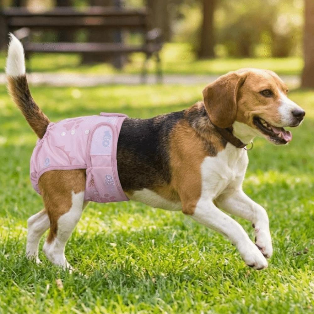 Waschbare Hündinnenwindeln Atmungsaktive Physiologische Hundehosen Hundewäsche Anti-Deckung