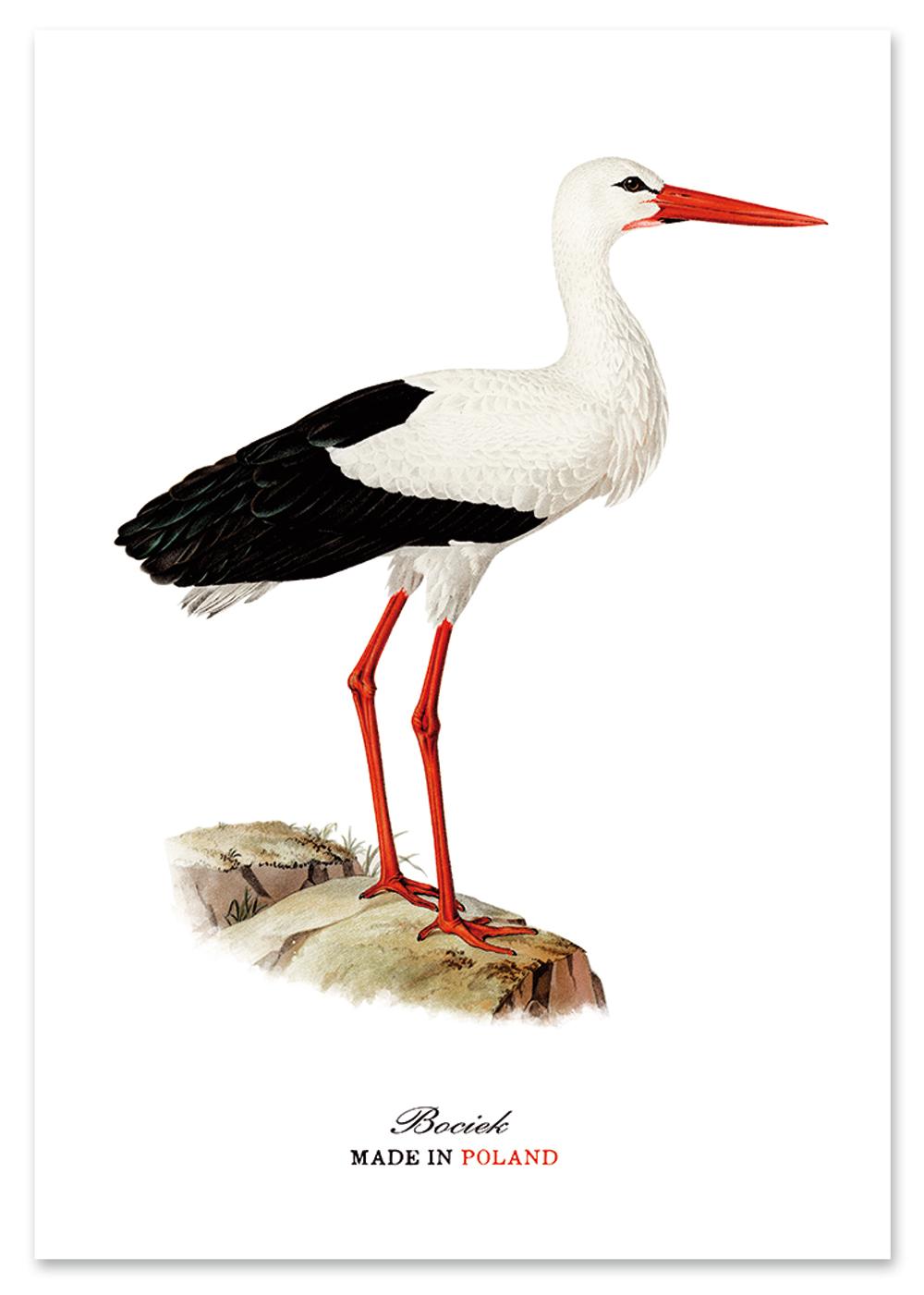 

Plakat polski bocian vintage 30x40 cm