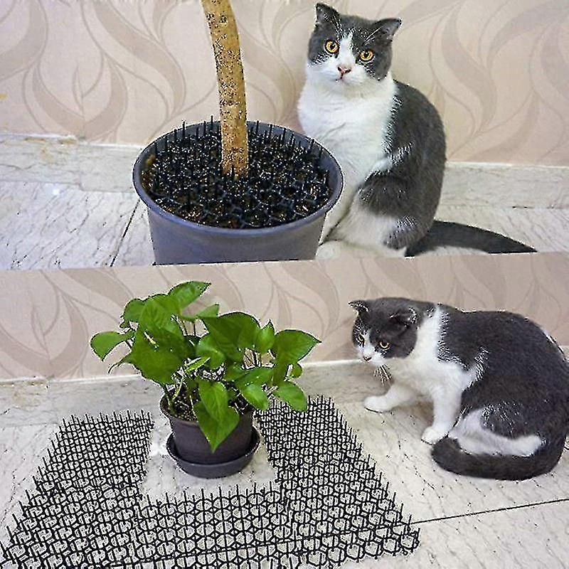 Tappetino Dissuasore per Gatti con Spikes Rete Anti-gatti Tappetino Dissuasore con Punte per Animali Domestici Dispositivi Dissuasori modo Compatibile Interno Esterno Ga