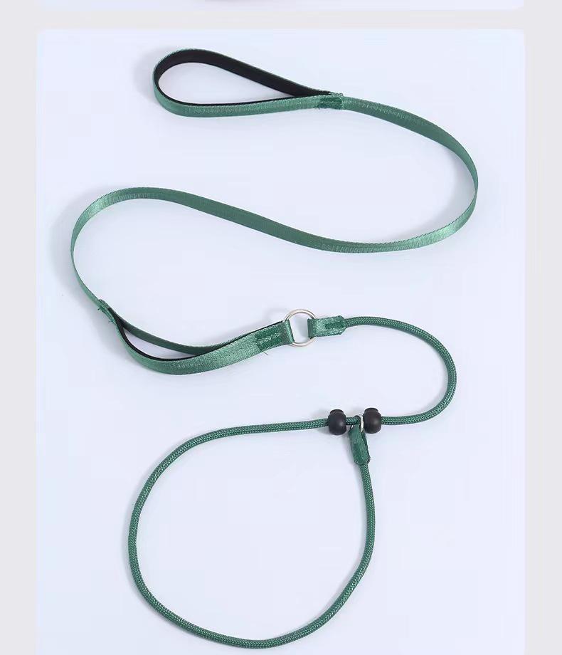 Dog Leash Traction Rope for Small to Medium Breeds
