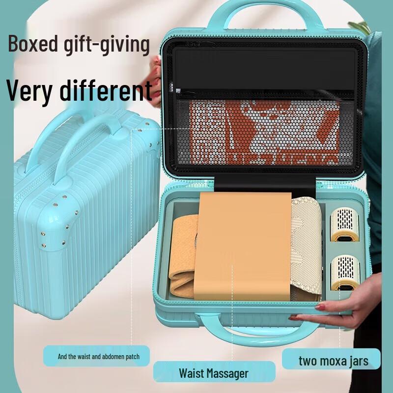 HEZHENG Smokeless Moxibustion Waist Massager - Family Gift Box 2