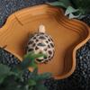 New Plastic Turtle Water Basin Multi-size Double-sided Use Reptile Bathtub Stepped Design Frog Bathing Basin Reptile Habitat