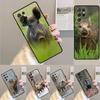 Wild Boar Pig Brown TPU Phone Case For Samsung Galaxy Note 10 Pro S26 S25 S24 S23 S22 Ultra Plus S21 FE S20 Shockproof Cover