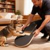 Cães – Brinquedos para cães