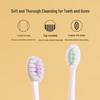 Dr. Dental Phantom Sea Gum Protection Toothbrush