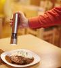Electric Spice Grinder