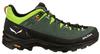 Hiking Shoes MS Alp Trainer 2 (61402)