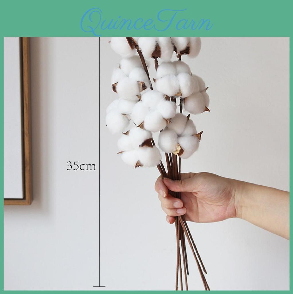 Dried Cotton Natural Stems 10pcs 15inch Tall Rustic Cotton Sprigs For Vase Fillers Floral Arrangements Fall Decorations And Diy Crafts