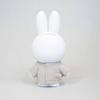 Hassy Miffy Piggy Bank DXS Beige Top-in MF-8297