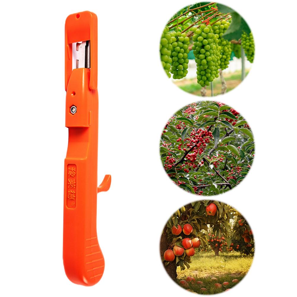 Grape Picking Tool Multifunctional Small Fruit Picking Trimmer Ergonomic Pepper Flower Branch Scissors for Farm Garden United States