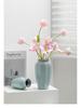 Chinese Zen Ru Kiln Ceramic Vase for Home Decor: Ideal for Living Room or Entryway Flower Arrangements and Green Plants
