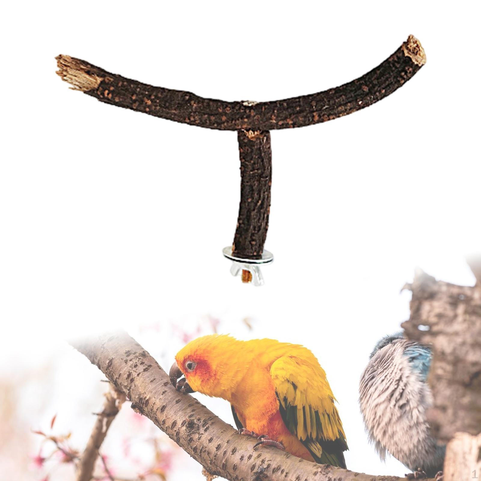 

Пташина клітка відділення відділення, лазіння стоячи жувальний папуга стенд