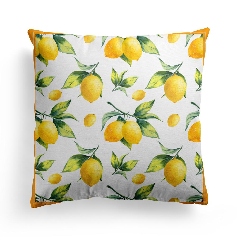 Water-Repellent Pillow Case Anti-Fouling And Anti-Membrane Printing Polyester Pillow Case Living Room Home Sofa Cushion Cover