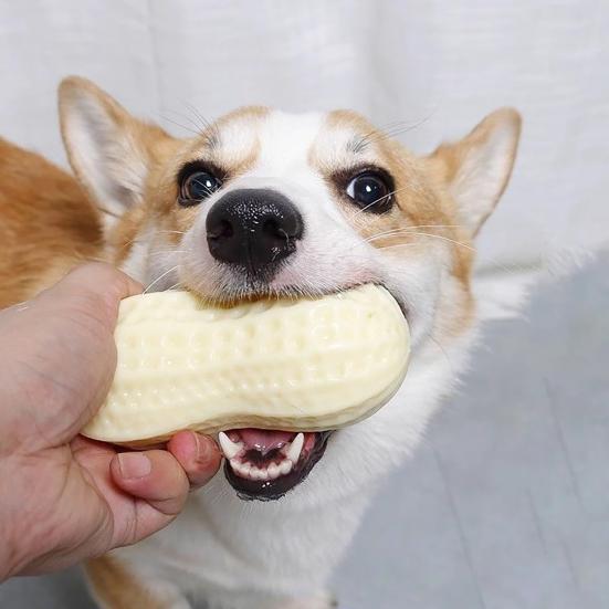 Juguete Chirriante de Cacahuete para Perro Juguete Seguro para la Dentición de Cachorros Juguete Masticable para Perros Juguete de Limpieza Dental para Perros Grandes Pequeños Medianos