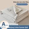 Xinjiang Cotton Summer Quilt: Lightweight, Machine-Washable, Thin Comforter for Dorms and Double Beds