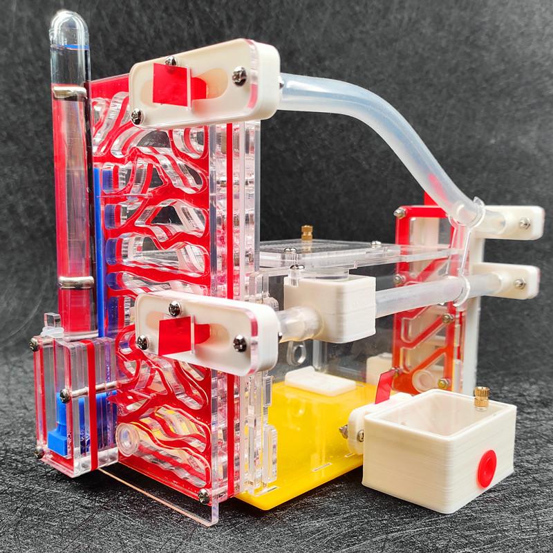 T Design DIY Ant Farm with