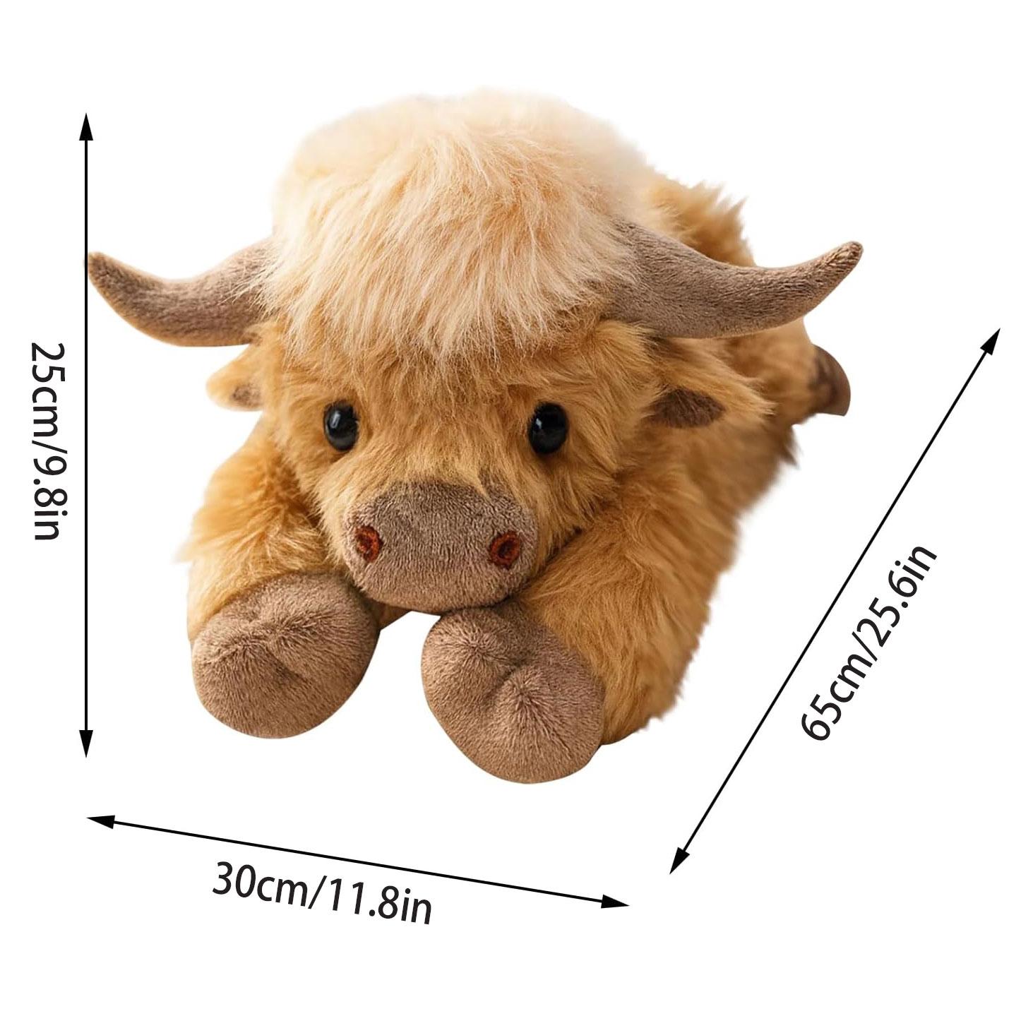 1,0 KG Svarīgs Skotu Govs