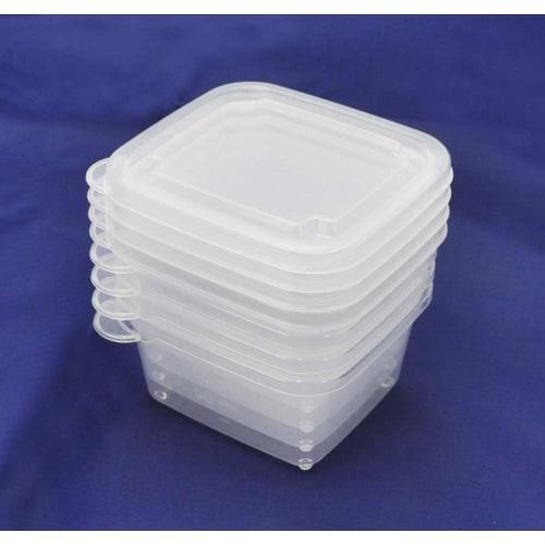 Skater Mini Seal Container Storage Container L 100ml Set of 4 Basic MMS3N-A